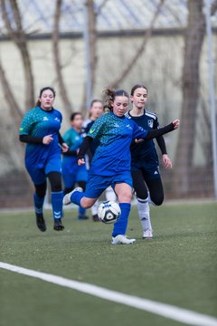 Bild 95 - wCJ Alstertal-Langenhorn - Ellerau : Ergebnis: 3:1